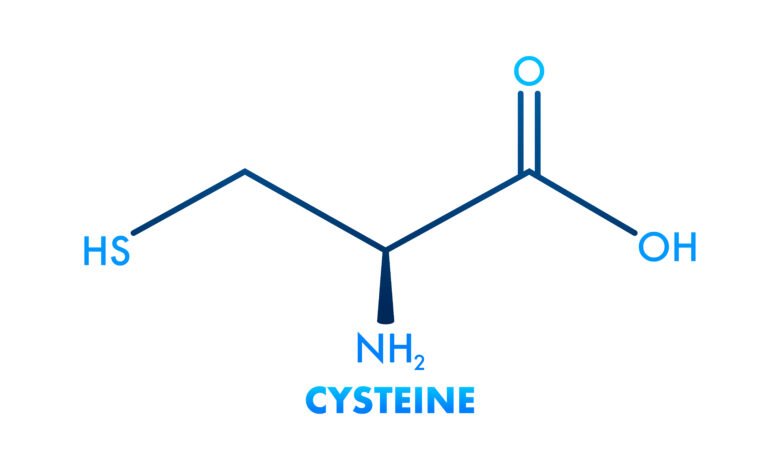 Cisteína